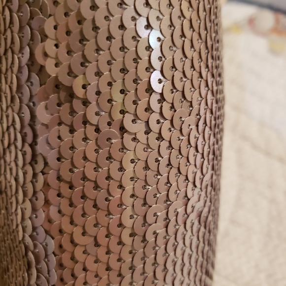 COACH LIMITED EDITION SEQUIN CLUTCH-NWT - Picture 9 of 16